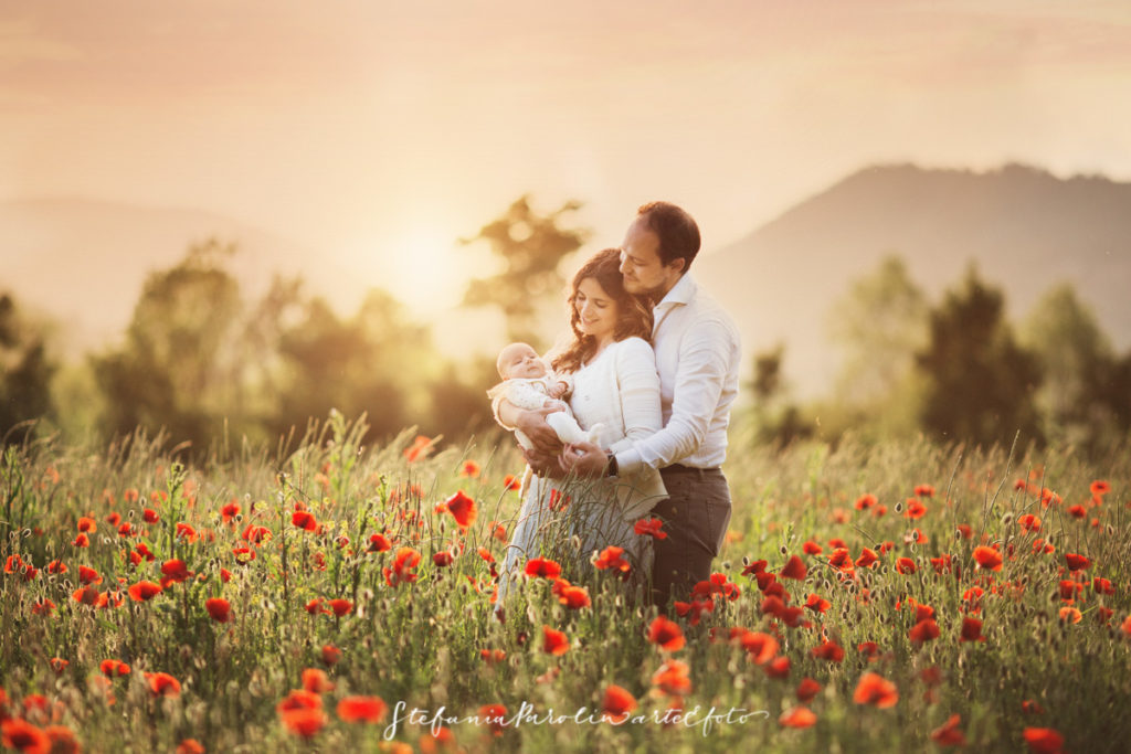 Fotografie tra i Papaveri nei colli Euganei